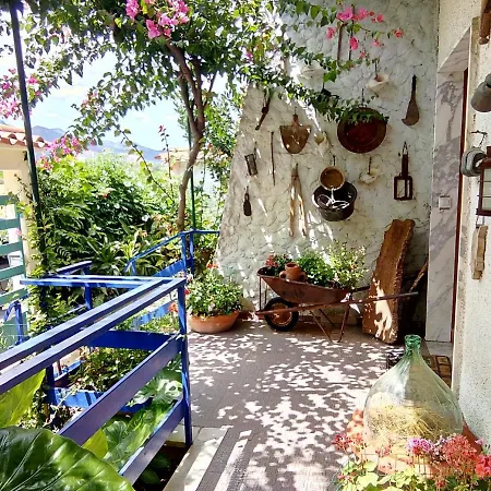 Ada Casa de Férias *